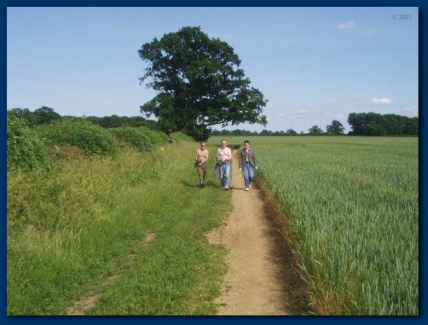 600x449 pixels (140K)